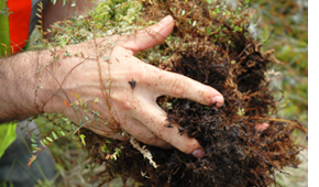 Respect for the Environment