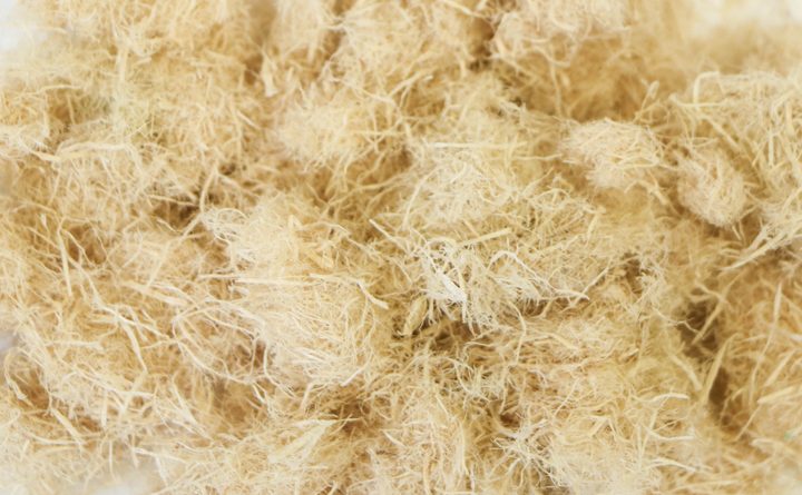 Wood fiber