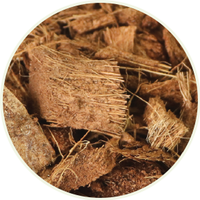 Coir