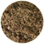 Sphagnum Peat Moss