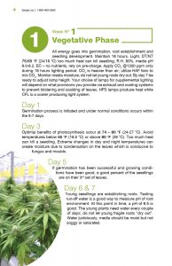 Week 1 | Vegetative Phase - Day by Day Perfect Cannabis Production Guide