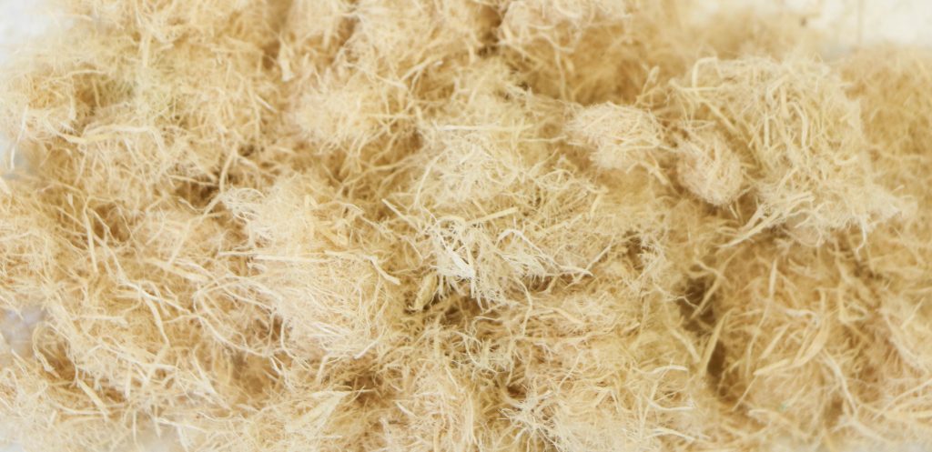 Wood fiber