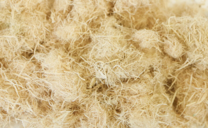 Wood fiber