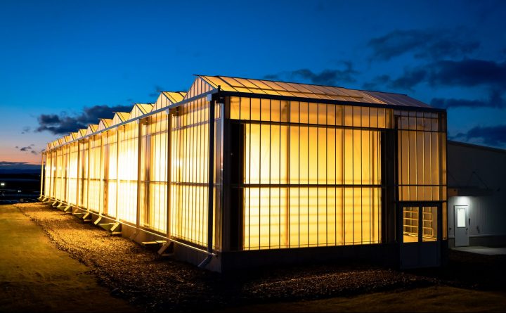 greenhouse