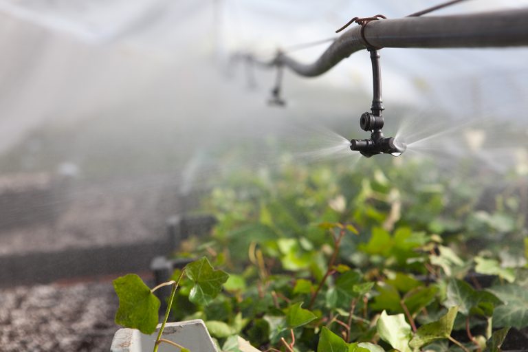 Choosing the Right Greenhouse Irrigation System Berger EN