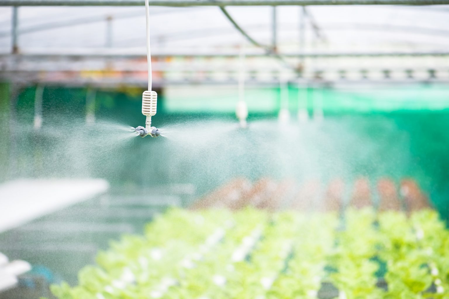 Choosing the Right Greenhouse Irrigation System Berger EN