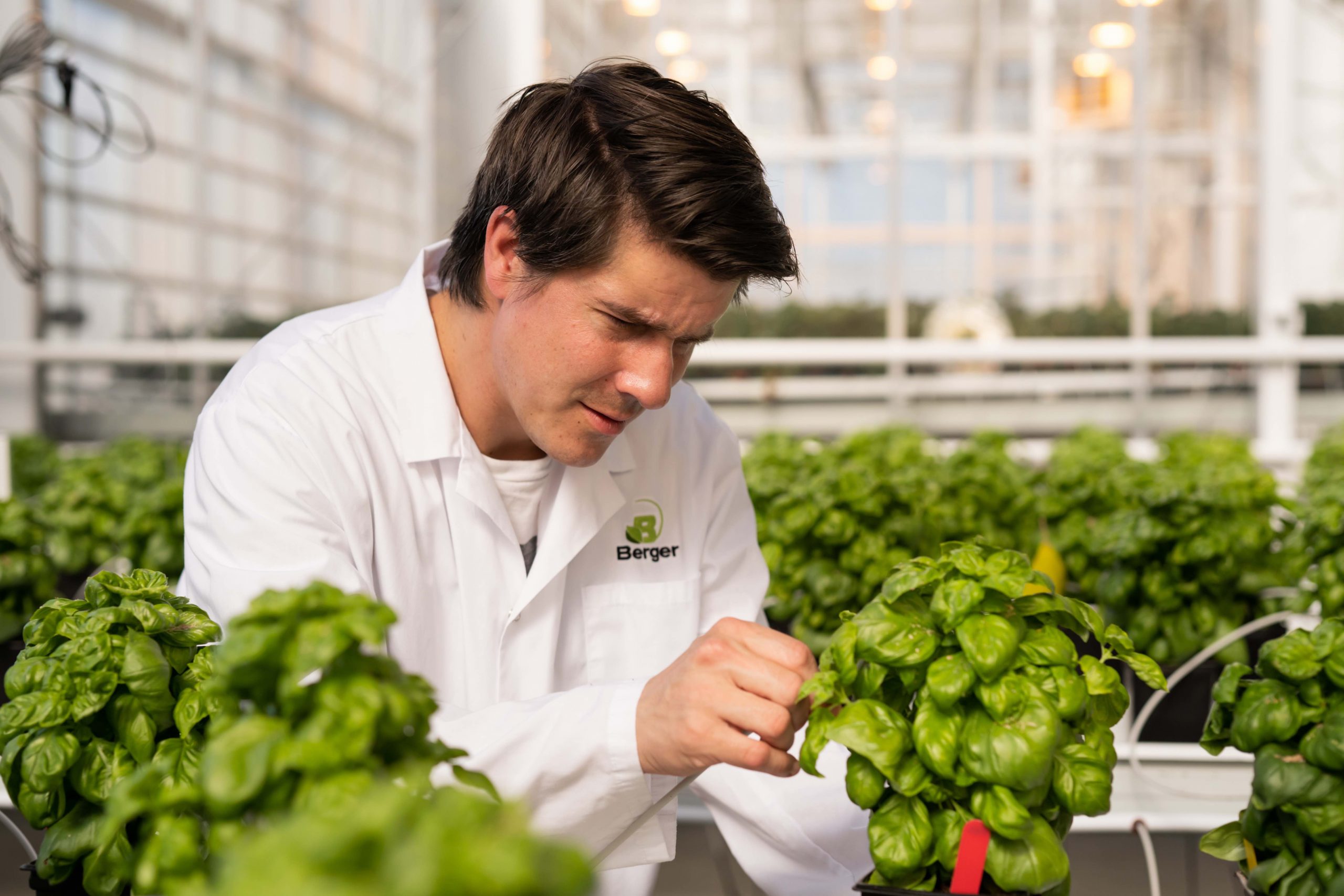 man in research and development looking at a plant