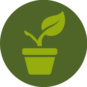 Cultivars cultivars icon