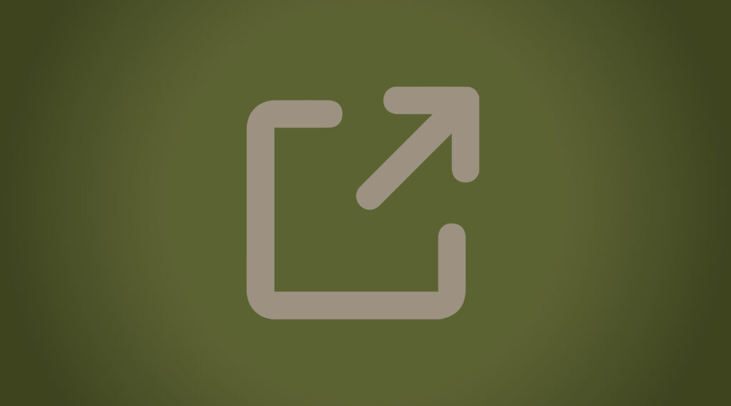 icon link