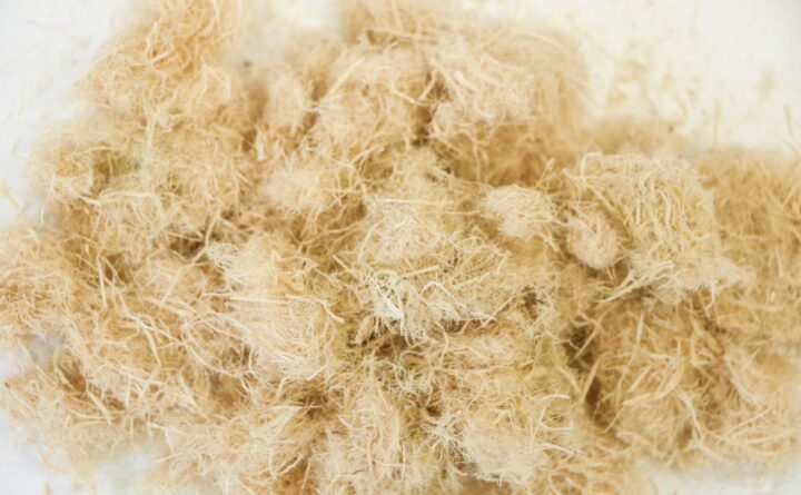 wood_fibers