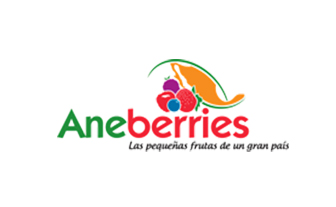 Aneberries