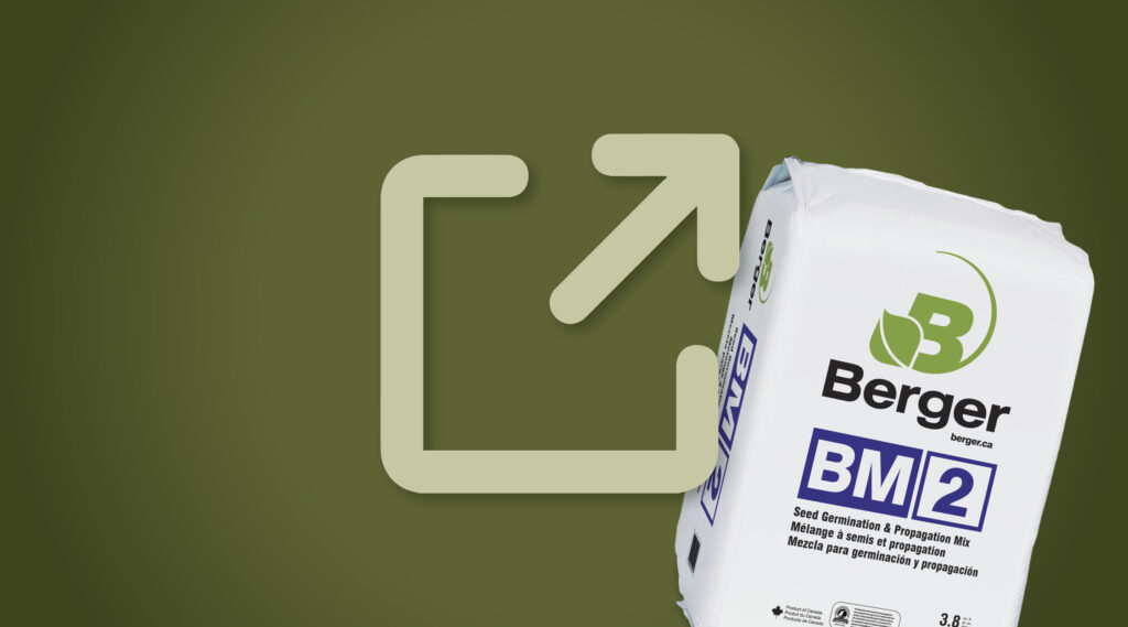 BM2 Seed Germination