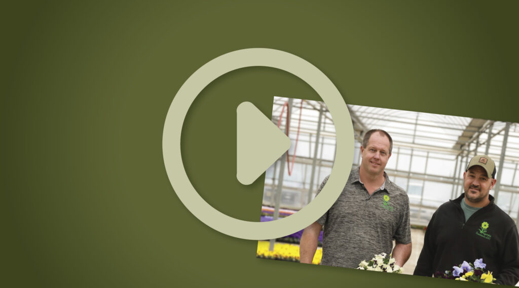 Van Wingerden Greenhouses Video