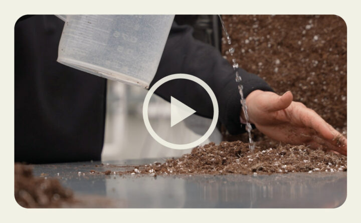 Initial Hydration: Best Practices for Compressed Mixes