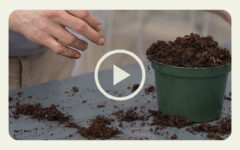 How to Increase Growing Media Yield