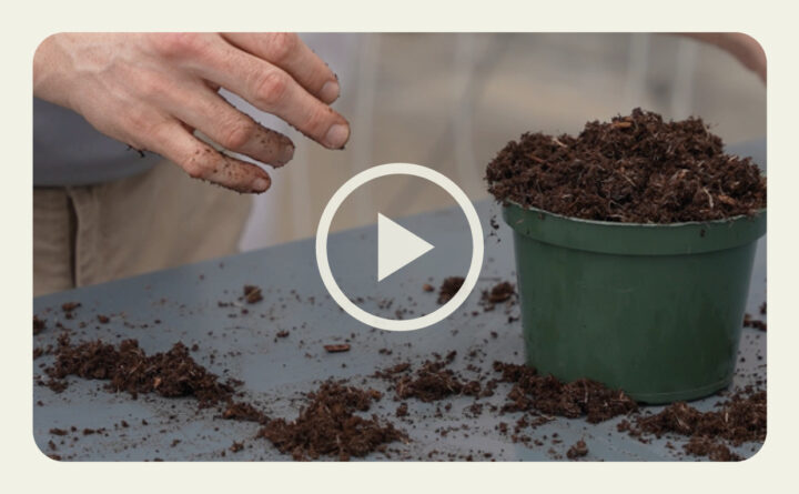 How to Increase Growing Media Yield