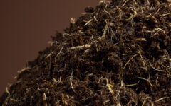 Peat and wood fiber substrates