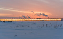 greenhouse snow