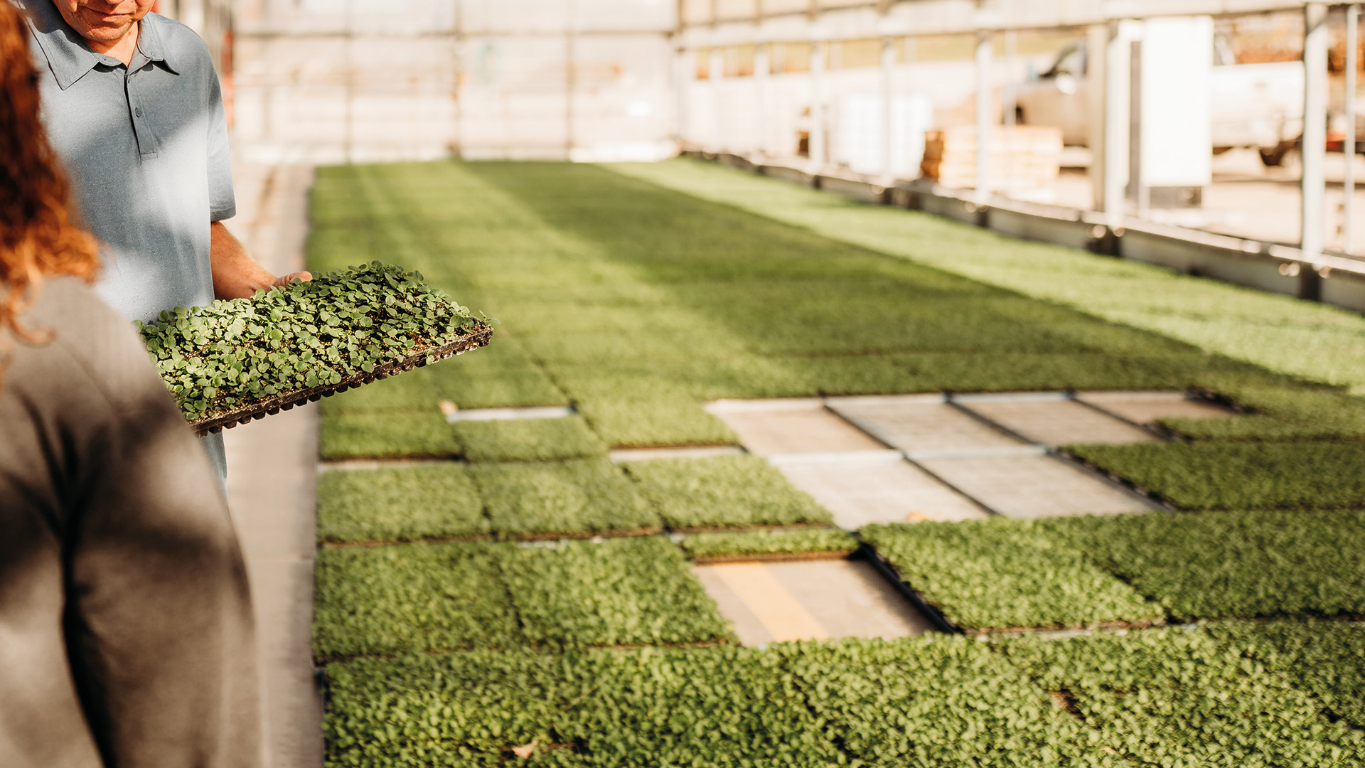 Results You Can Expect