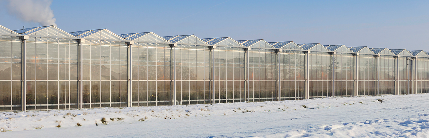 extreme weather greenhouse snow