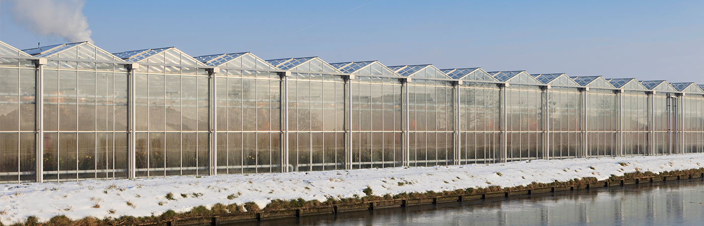 extreme weather greenhouse snow