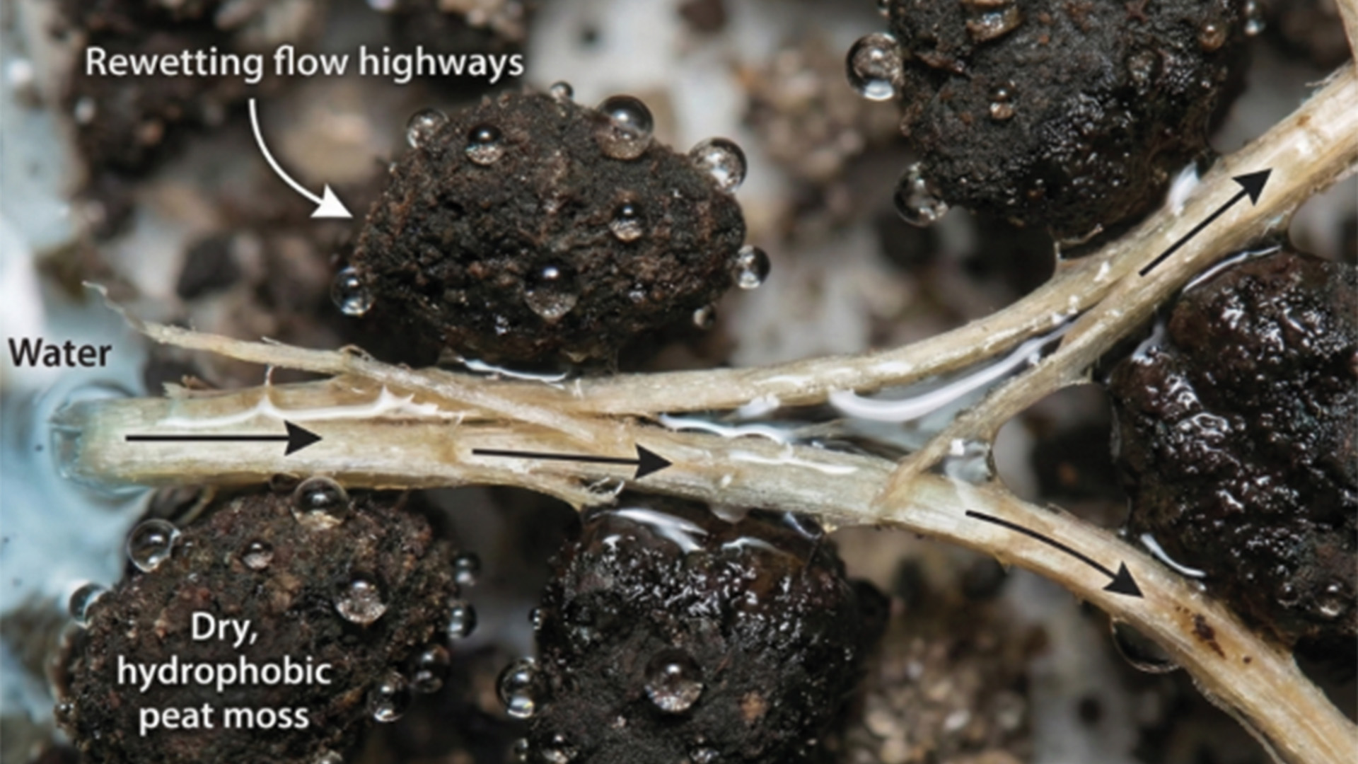 water movement in wood fiber growing media