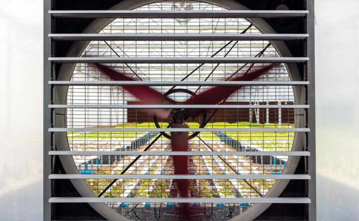 circulation-system