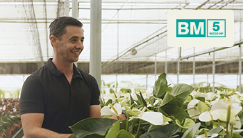 Mountain View Nursery