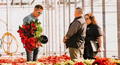 greenhouse trial: Grower advisor tips