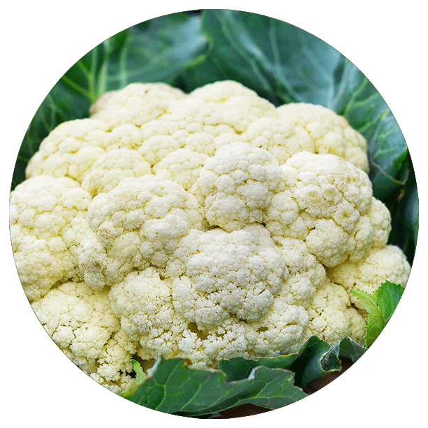 cauliflower