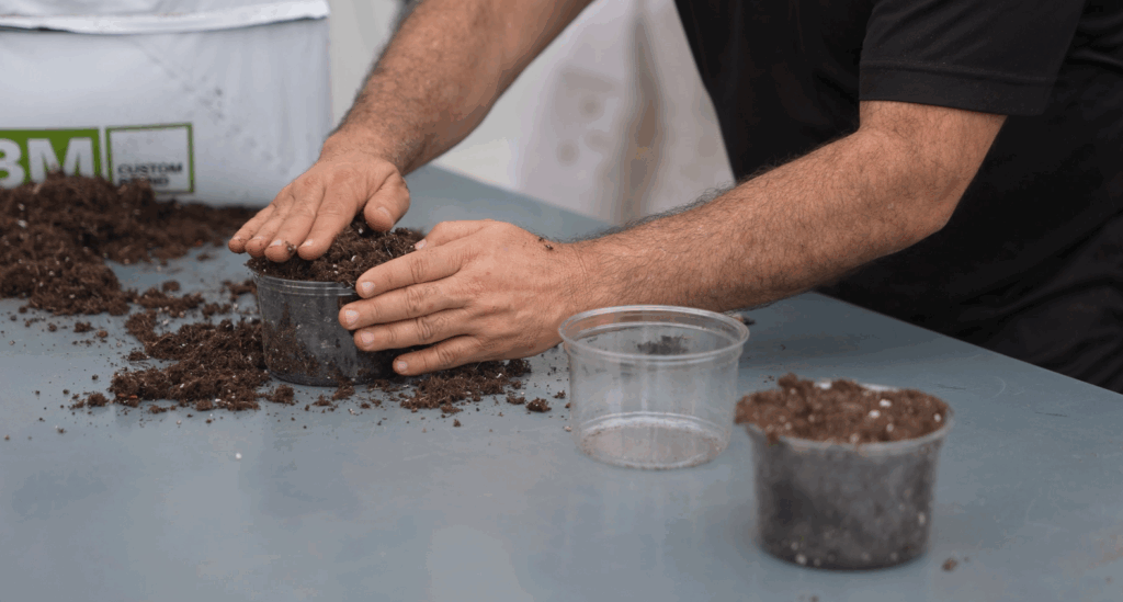 Cómo prevenir la compactación del medio de cultivo en macetas