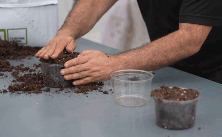 Cómo prevenir la compactación del medio de cultivo en macetas