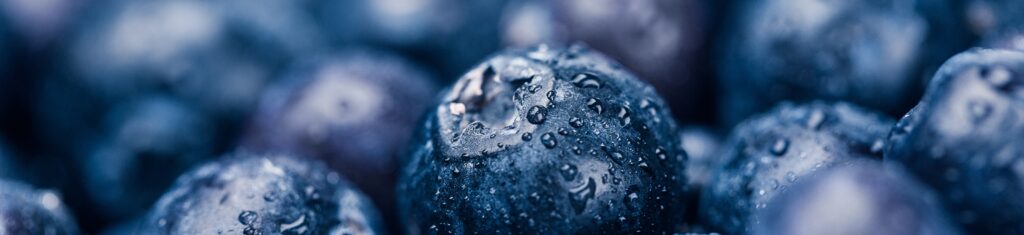 Mezclas para bayas (Arándanos)