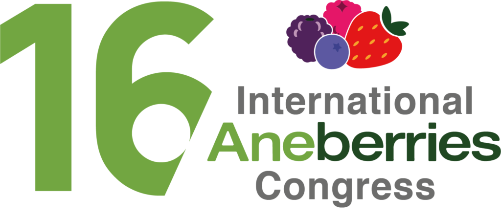 Logo Aneberries 2026