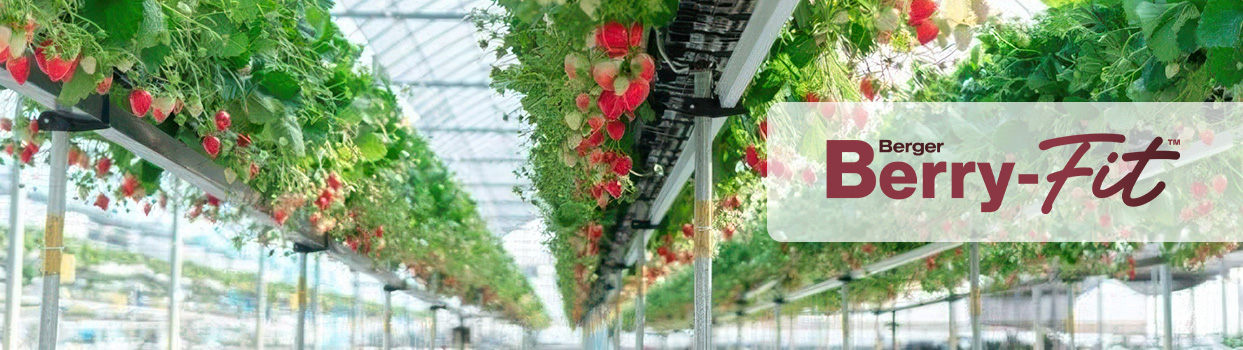 Berger Berry-fit banner