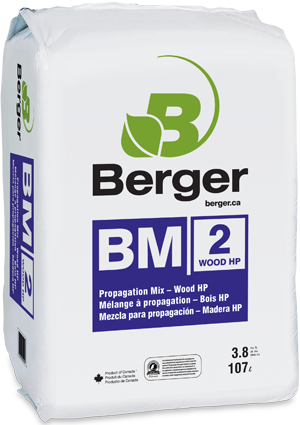 : Propagation – Bois HP
