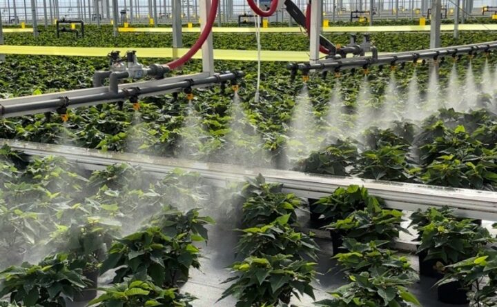 Irrigation