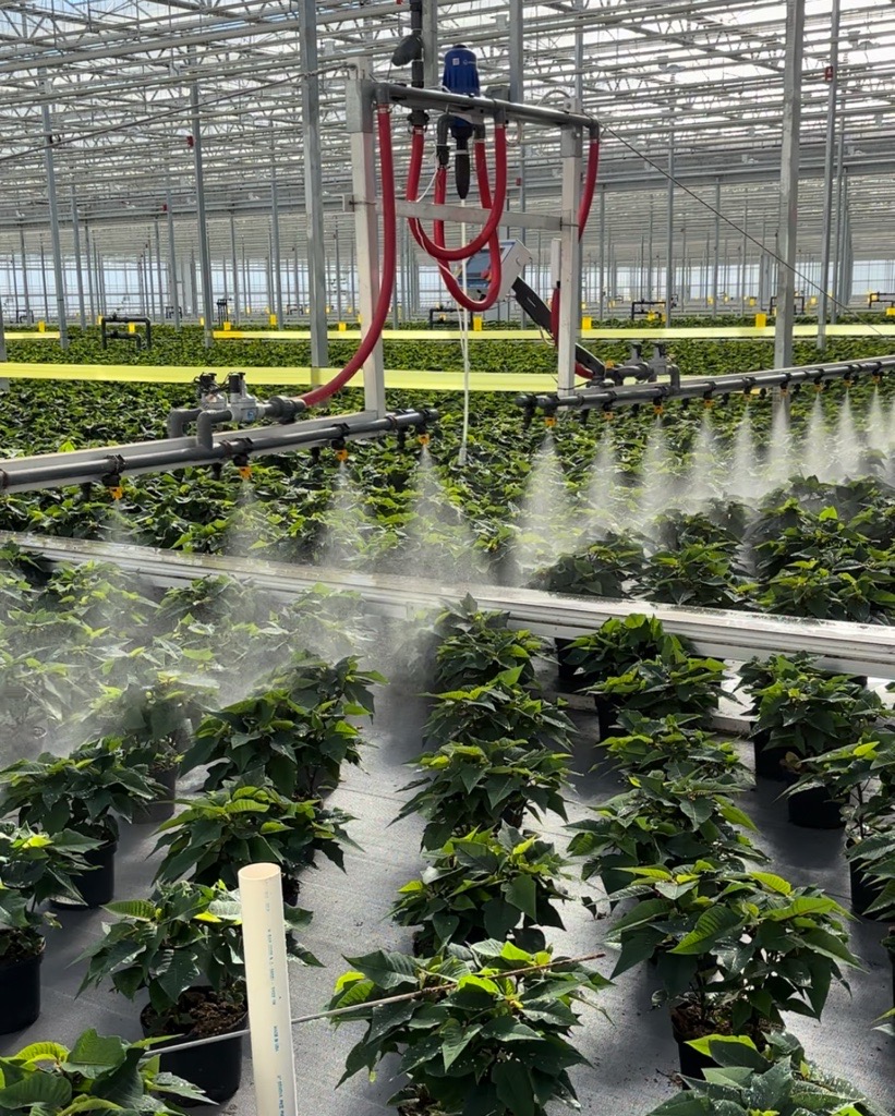 Irrigation